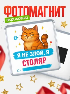 Купить магнит с котом Столяр в подарок кадровику с доставкой по России