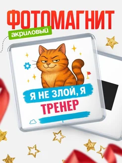 Купить магнит с котом Тренер в подарок кадровику с доставкой по России