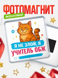 Купить магнит с котом Учитель обж в подарок кадровику с доставкой по России